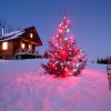 С наступающим Новым Годом!